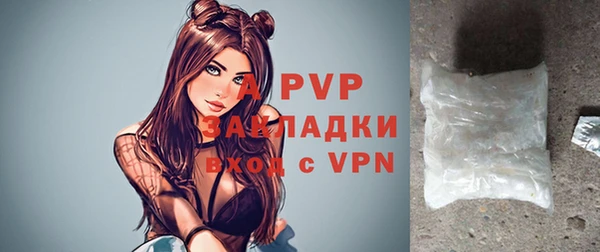 ПСИЛОЦИБИНОВЫЕ ГРИБЫ Вязники