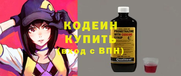 ПСИЛОЦИБИНОВЫЕ ГРИБЫ Вязники