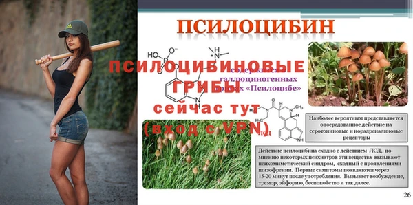 амф Саяногорск