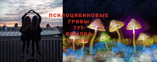 амф Саяногорск