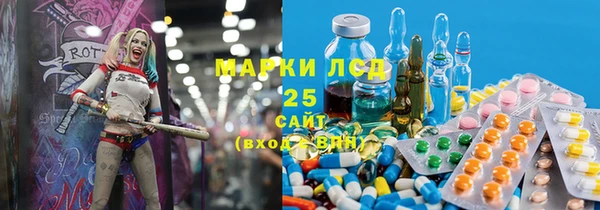 ПСИЛОЦИБИНОВЫЕ ГРИБЫ Вязники