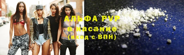 ПСИЛОЦИБИНОВЫЕ ГРИБЫ Вязники