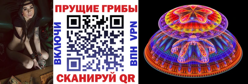 Галлюциногенные грибы прущие грибы  Островной 